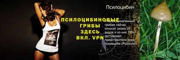 прущие грибы Алексин