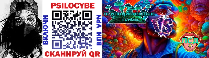 Галлюциногенные грибы Psilocybe  Петушки 